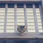 Free access to (@carterwasnothere) Leaks OnlyFans 

 profile picture