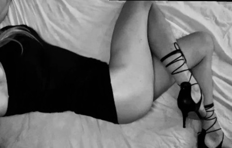 Header of cassieswallows