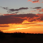 chetmet (Chet Metuziak) free OnlyFans Leaked Pictures & Videos 

 profile picture