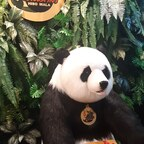 Download chiba87121158 OnlyFans leaks for free 

 profile picture