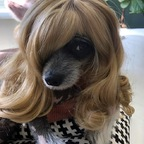 chillb0ys OnlyFans Leaked Photos and Videos 

 profile picture