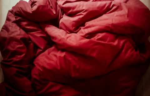 Header of chilldoggo