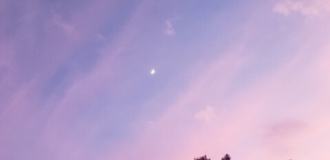 Header of christinad