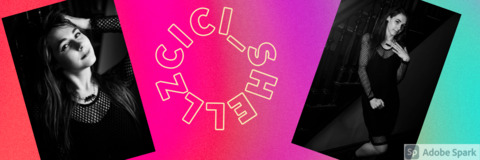 Header of cici_shellz