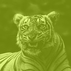 Colin Kane (colinkane) Leaks OnlyFans 

 profile picture