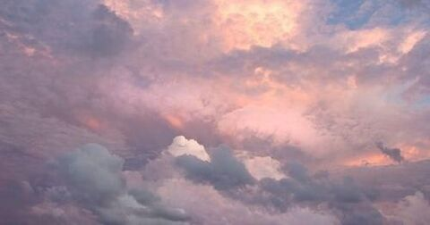Header of collxxps