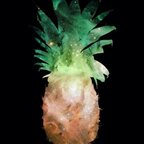 Download cosmicpineapple OnlyFans leaks for free 

 profile picture