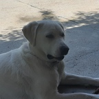 Free access to cosmina Leaks OnlyFans 

 profile picture