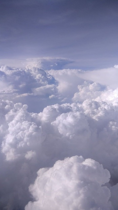 Header of costlyhoney