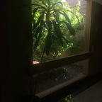 Onlyfans leaks cowbells 

 profile picture