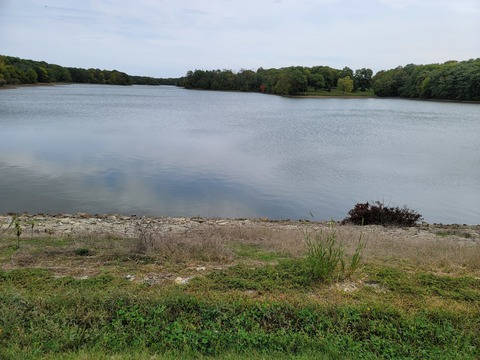 Header of crinklechips97