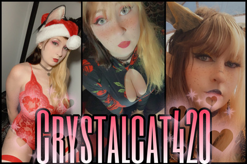 Header of crystalcat420