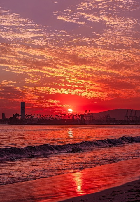 Header of curvyindian