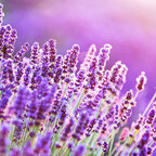 Download cute-cumslut OnlyFans videos and photos for free 

 profile picture