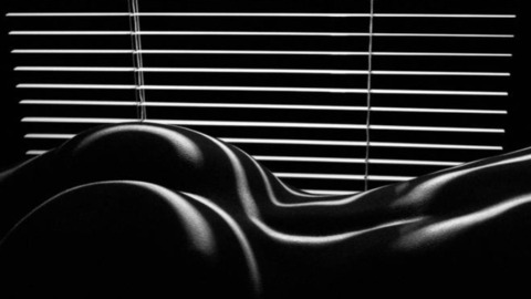 Header of cutiebrownie