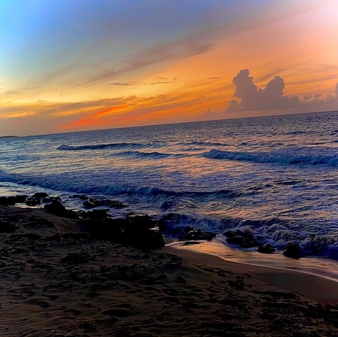 Header of cyponlyfans