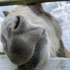 Download daddylonglegz20 OnlyFans videos and photos for free 

 profile picture