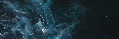 Header of dahliasagexo