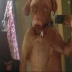 daleyzx (daleyzx) OnlyFans content 

 profile picture