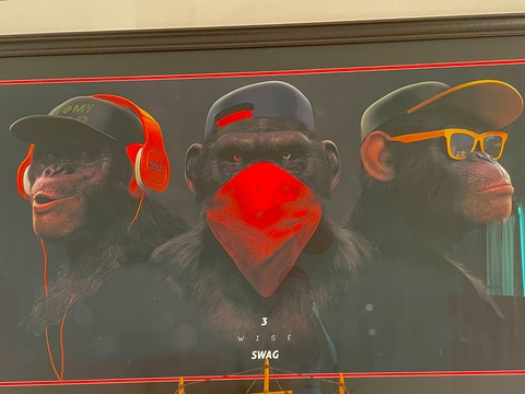 Header of darcy-tyvip