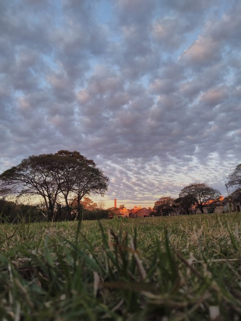 Header of davemarkie