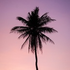 D dawny.love.0 Leaks OnlyFans 

 profile picture