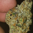 Onlyfans leaked dboy1991 

 profile picture