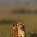 Download dbvsm OnlyFans content for free 

 profile picture