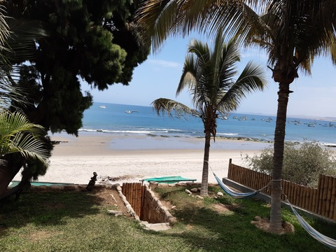 Header of dianarojas