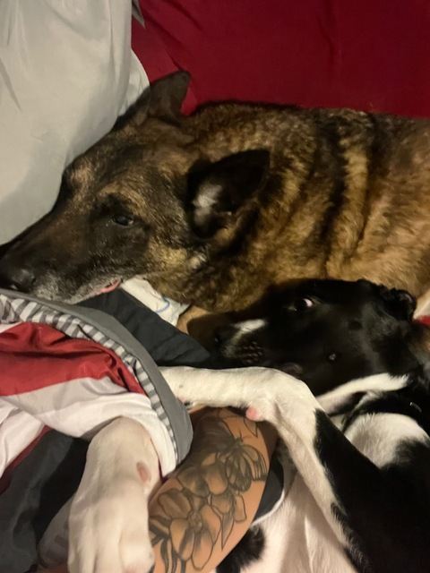 Header of dianekayla