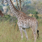 Onlyfans leak dickedemdown 

 profile picture