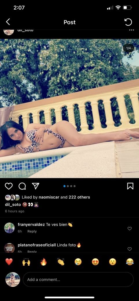 Header of diessfer1998