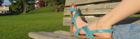 Header of dietnekozilla