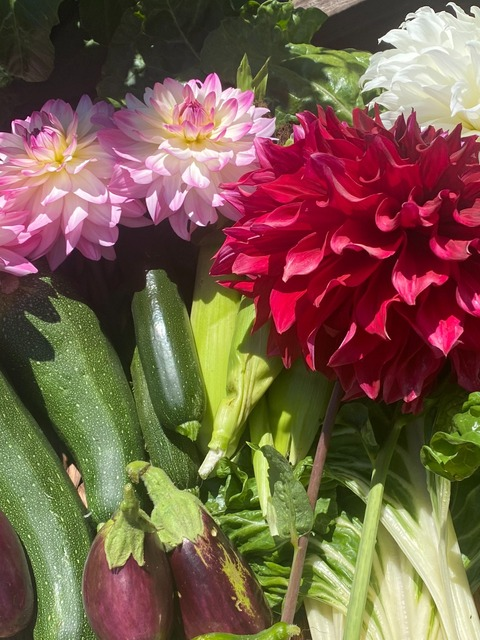 Header of dirtygardengal
