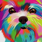 Onlyfans leaked dixnx.xrl 

 profile picture