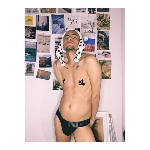 Header of dominobolt