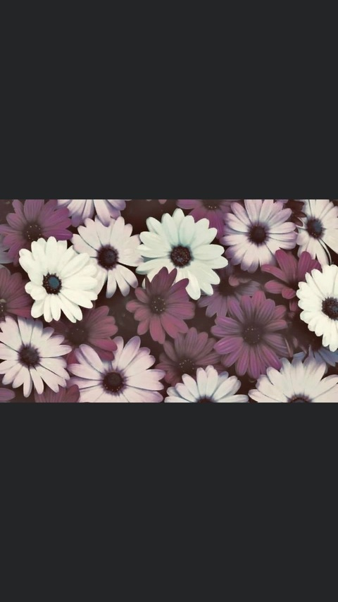 Header of draemay