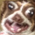 dreggmann OnlyFans Leaked 

 profile picture