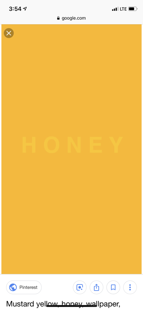 Header of dripppinhoney