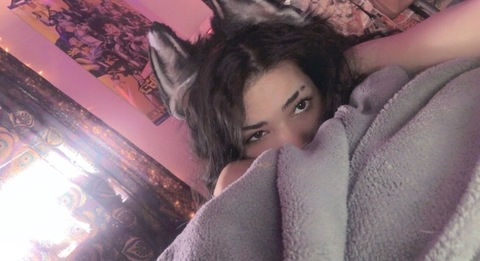 Header of droolypupp