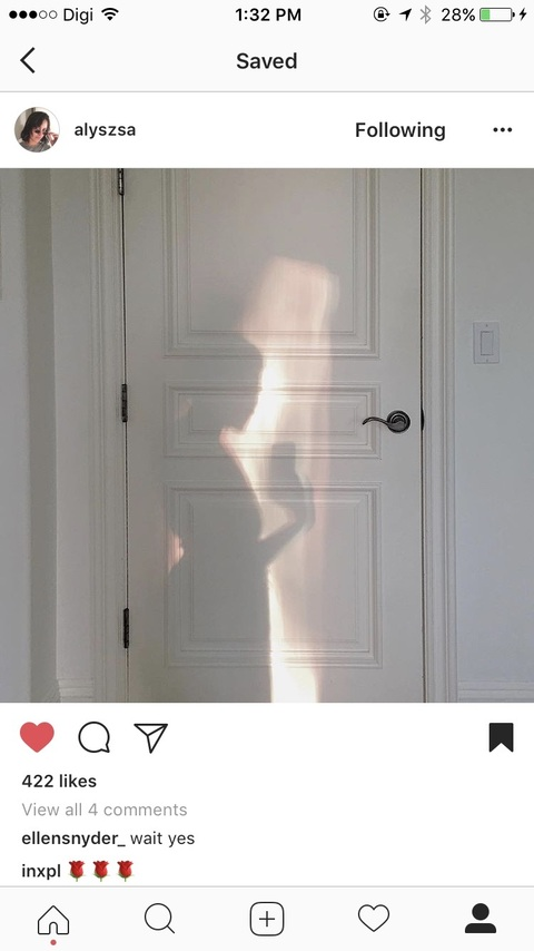 Header of dumplingbaby