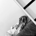 e.rose_b (E) free OnlyFans Leaks 

 profile picture