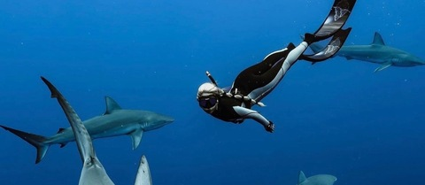 Header of eckernicky