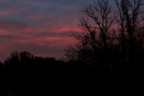 Header of emporerdaddy