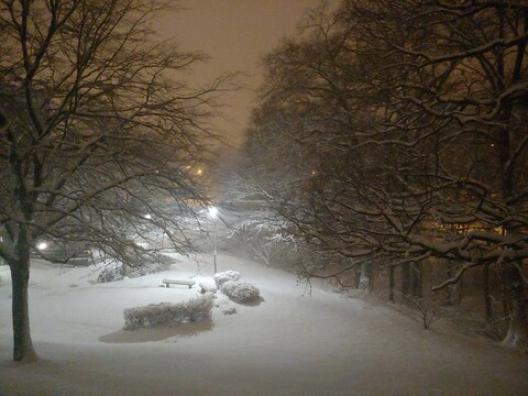 Header of emxhibitionist