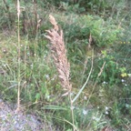 evencyrie (Evancyrie) free OnlyFans Leaked Content 

 profile picture