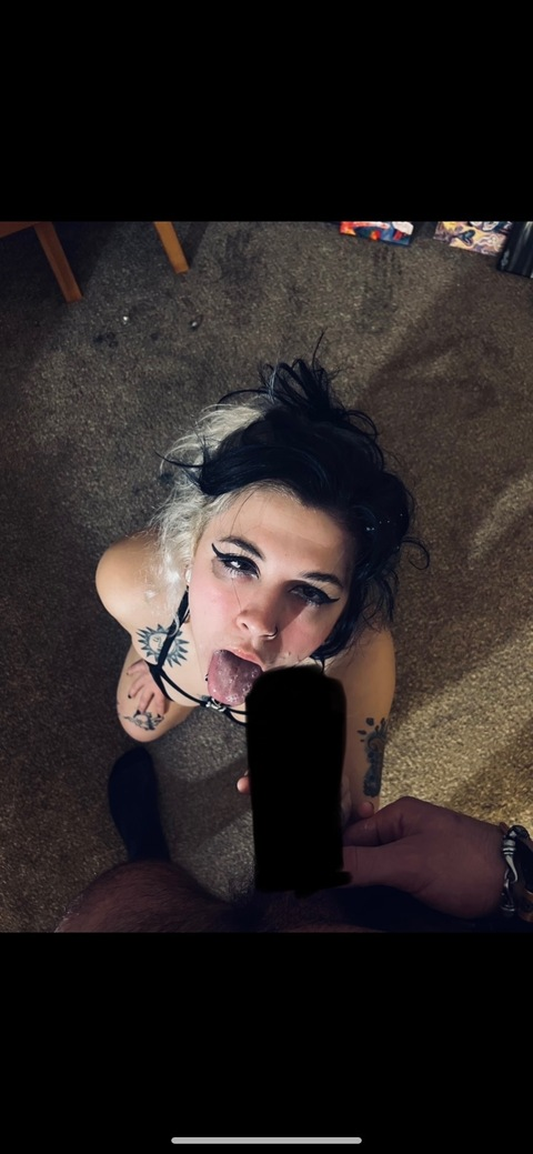 Header of fairlyodd999