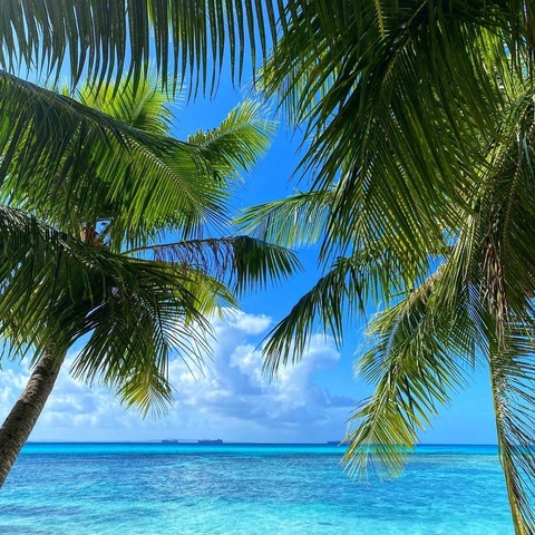 Header of fatassmermaid.666