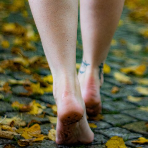 Header of feenfuesse