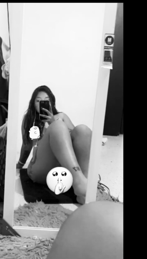 Header of fernand33231643